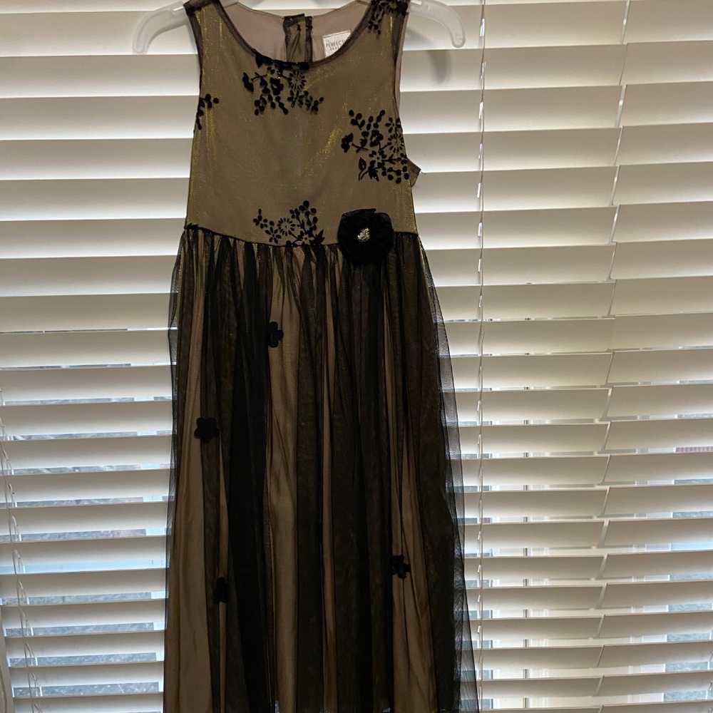 Girls fancy dress